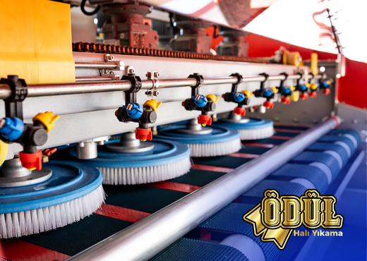 Neden Ödül Halı Yıkama ?