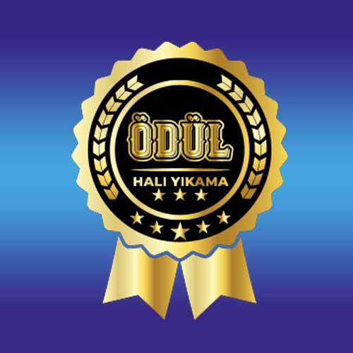 Kayseri Ödül Halı Yıkama